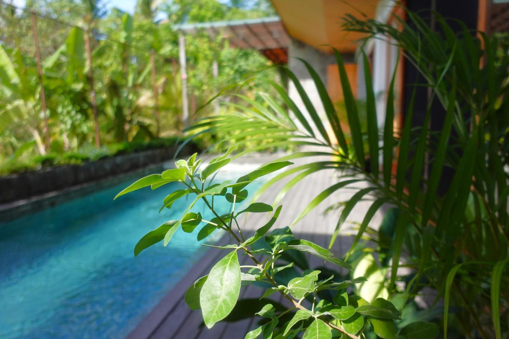 The Vinaya Boutique Hotel Ubud  Ngoại thất bức ảnh